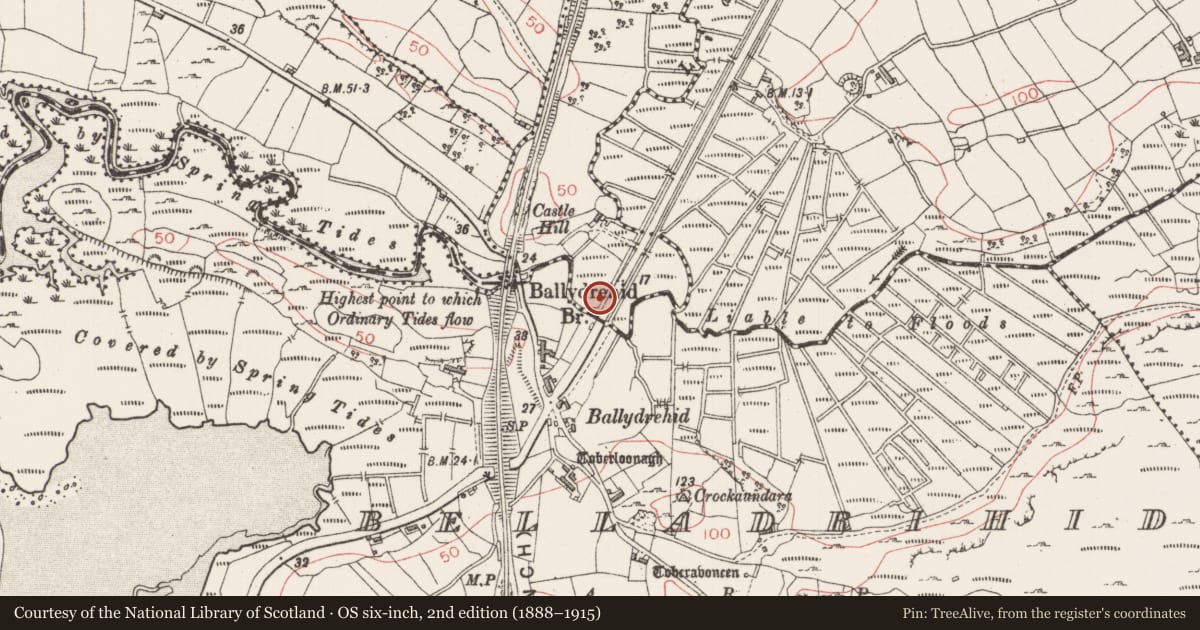 Ordnance Survey six-inch map, 2nd edition (1888–1915) covering the location of Midden, Belladrihid, Carrowgobbadagh, County Sligo, with a pin at the register's coordinates