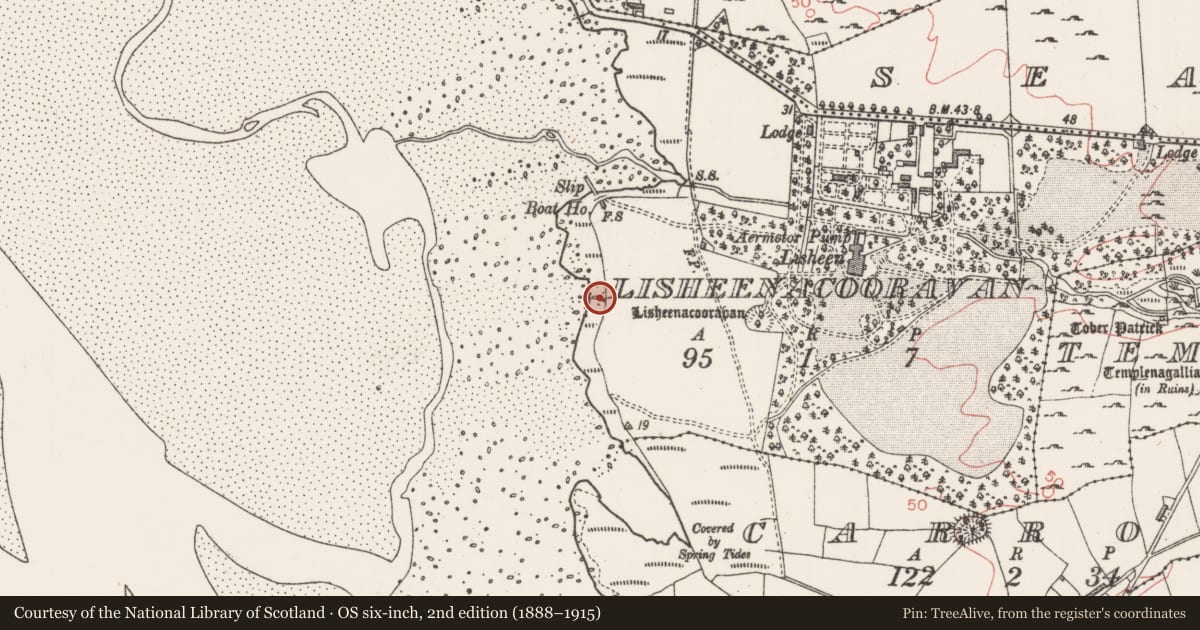 Ordnance Survey six-inch map, 2nd edition (1888–1915) covering the location of Midden, Lisheenacooravan, County Sligo, with a pin at the register's coordinates