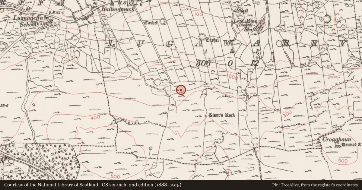 Ordnance Survey six-inch map, 2nd edition (1888–1915) covering the location of Cist, Lugawarry, County Sligo, with a pin at the register's coordinates