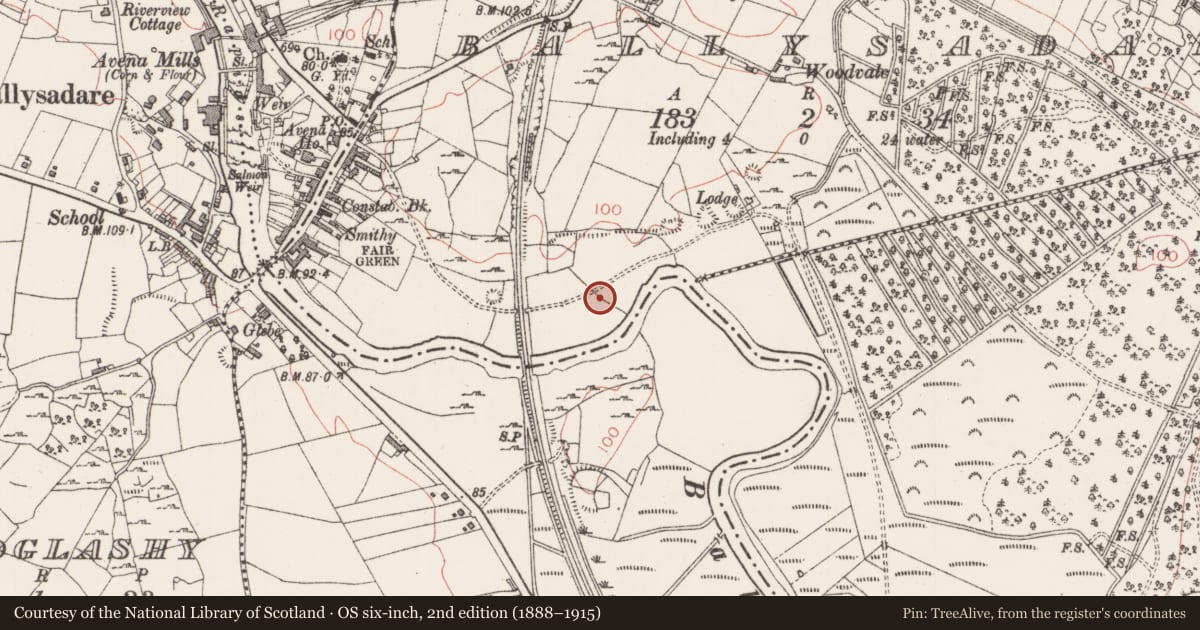 Ordnance Survey six-inch map, 2nd edition (1888–1915) covering the location of Burial ground, Ballysadare, County Sligo, with a pin at the register's coordinates