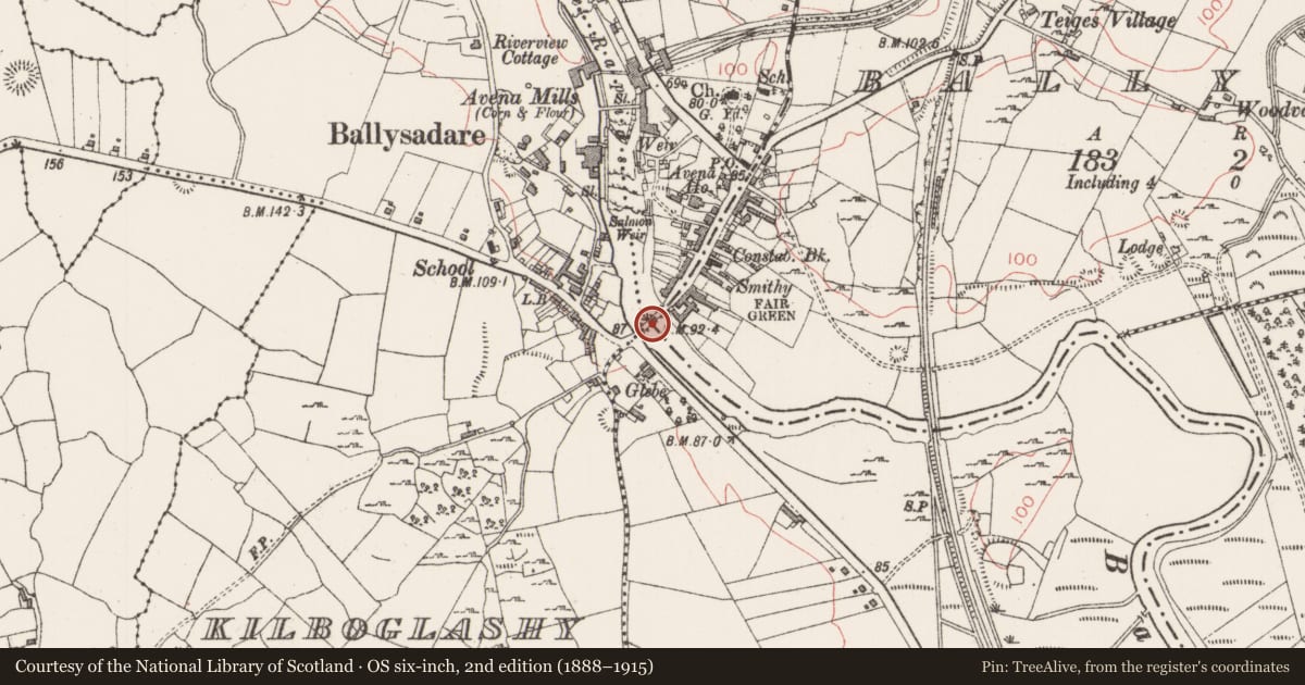 Ordnance Survey six-inch map, 2nd edition (1888–1915) covering the location of Bridge, County Sligo, with a pin at the register's coordinates