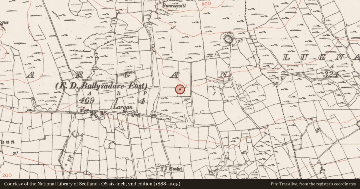 Ordnance Survey six-inch map, 2nd edition (1888–1915) covering the location of Ringfort - cashel, Largan, County Sligo, with a pin at the register's coordinates