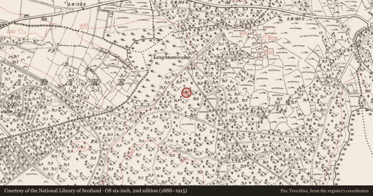 Ordnance Survey six-inch map, 2nd edition (1888–1915) covering the location of Megalithic tomb - passage tomb, Union, County Sligo, with a pin at the register's coordinates