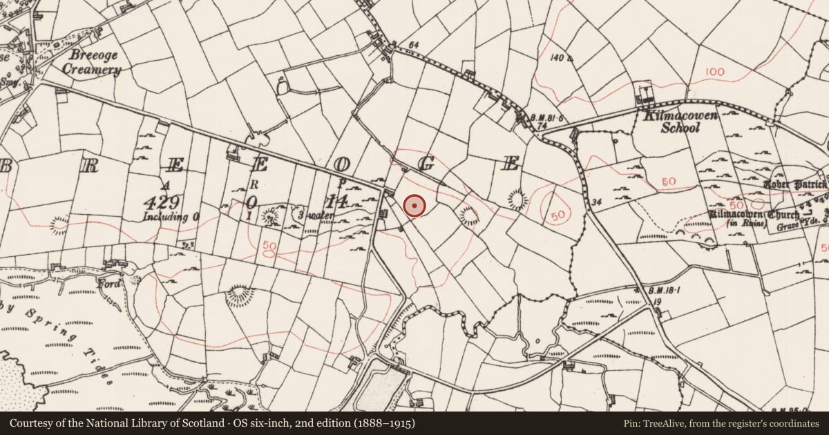 Ordnance Survey six-inch map, 2nd edition (1888–1915) covering the location of Souterrain, Breeoge, County Sligo, with a pin at the register's coordinates