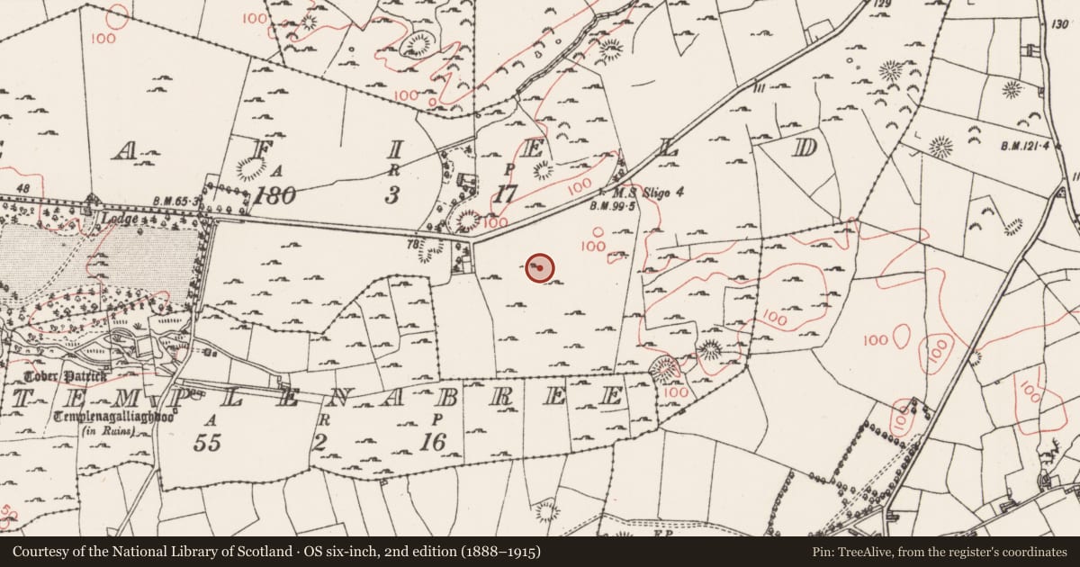 Ordnance Survey six-inch map, 2nd edition (1888–1915) covering the location of Standing stone - pair, Seafield, County Sligo, with a pin at the register's coordinates