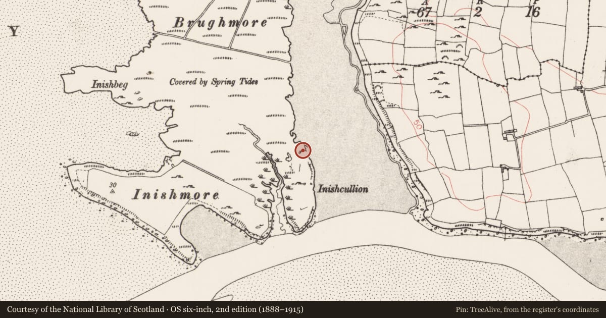 Ordnance Survey six-inch map, 2nd edition (1888–1915) covering the location of Enclosure, Breeoge, County Sligo, with a pin at the register's coordinates