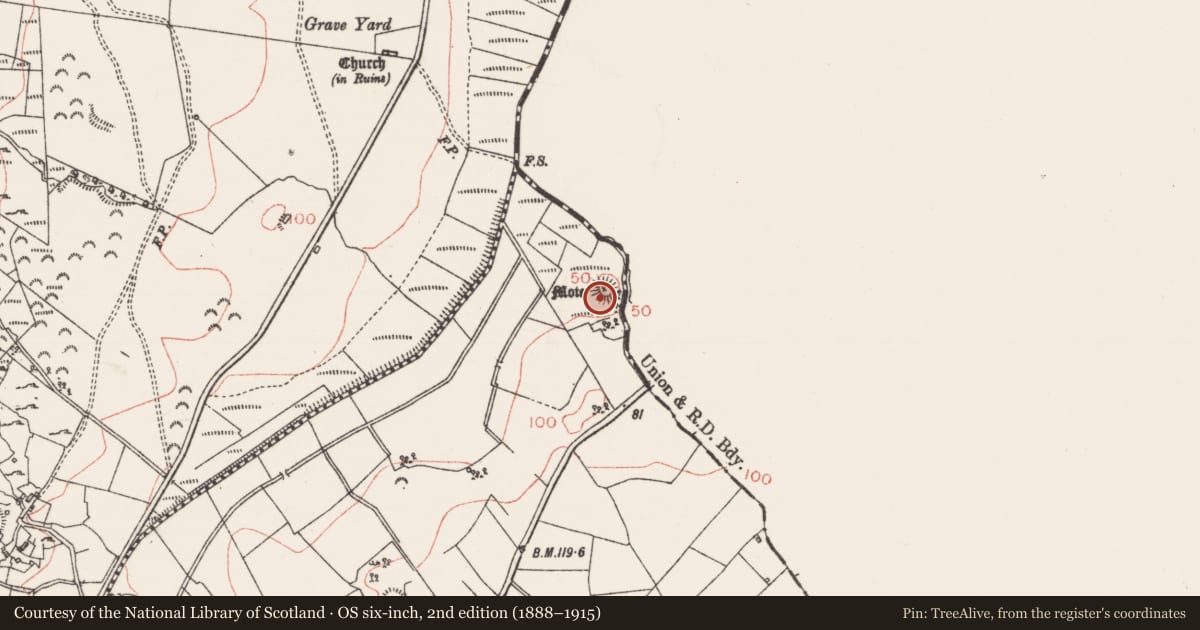 Ordnance Survey six-inch map, 2nd edition (1888–1915) covering the location of Castle - motte, Gortlownan, County Sligo, with a pin at the register's coordinates