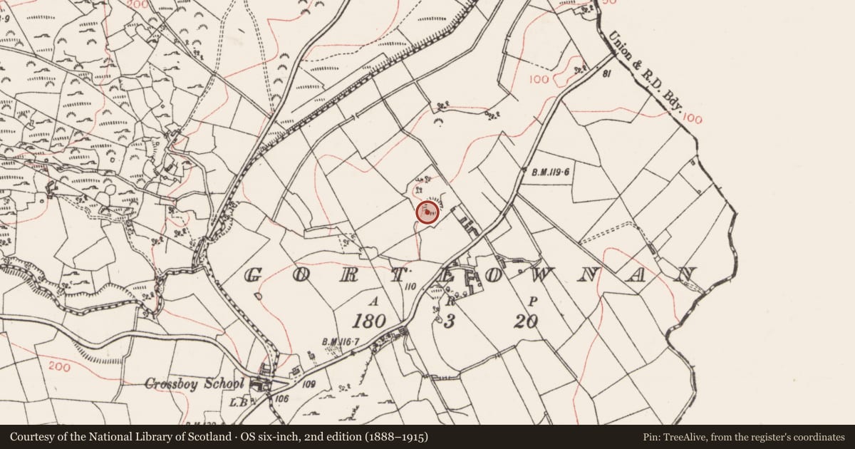 Ordnance Survey six-inch map, 2nd edition (1888–1915) covering the location of Ringfort - rath, Gortlownan, County Sligo, with a pin at the register's coordinates