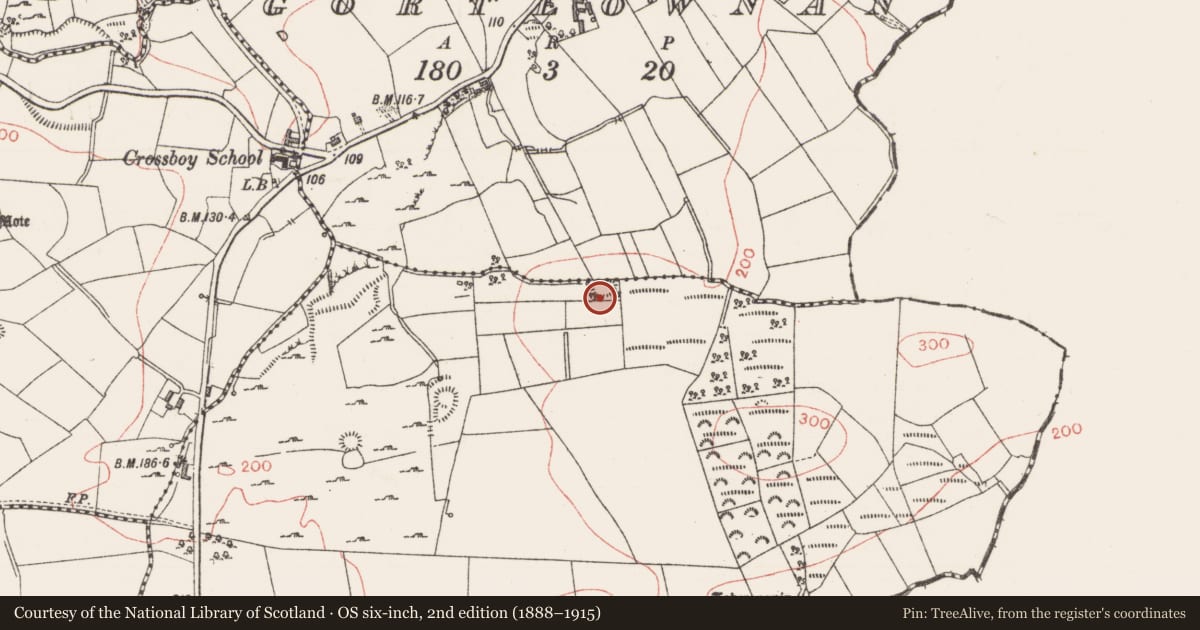 Ordnance Survey six-inch map, 2nd edition (1888–1915) covering the location of Ringfort - rath, Toberanania, County Sligo, with a pin at the register's coordinates