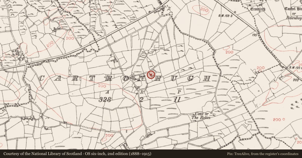 Ordnance Survey six-inch map, 2nd edition (1888–1915) covering the location of Ringfort - cashel, Cartronhugh, County Sligo, with a pin at the register's coordinates
