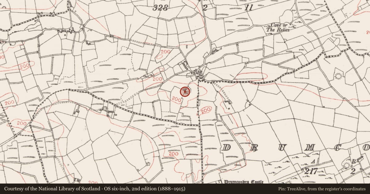 Ordnance Survey six-inch map, 2nd edition (1888–1915) covering the location of Ringfort - cashel, Cartronhugh, County Sligo, with a pin at the register's coordinates
