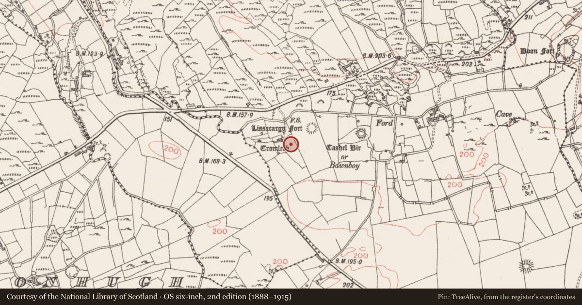 Ordnance Survey six-inch map, 2nd edition (1888–1915) covering the location of Anomalous stone group, Castleore, County Sligo, with a pin at the register's coordinates