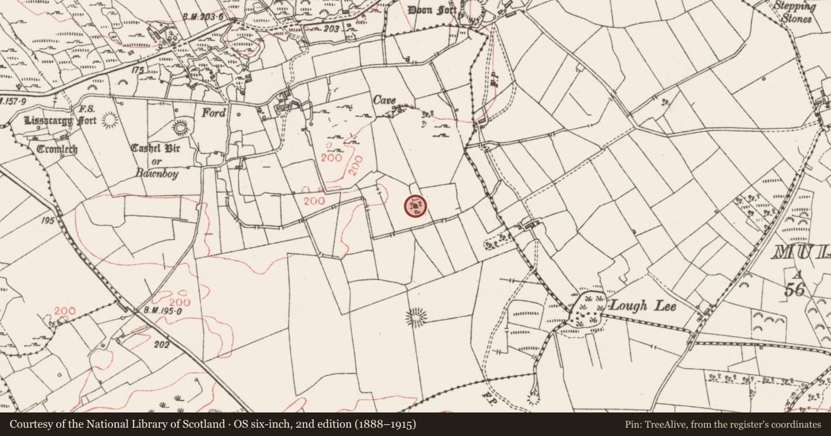 Ordnance Survey six-inch map, 2nd edition (1888–1915) covering the location of Megalithic tomb - court tomb, Castleore, County Sligo, with a pin at the register's coordinates