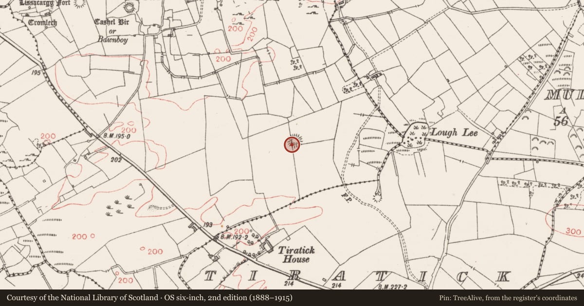 Ordnance Survey six-inch map, 2nd edition (1888–1915) covering the location of Ringfort - rath, Castleore, County Sligo, with a pin at the register's coordinates