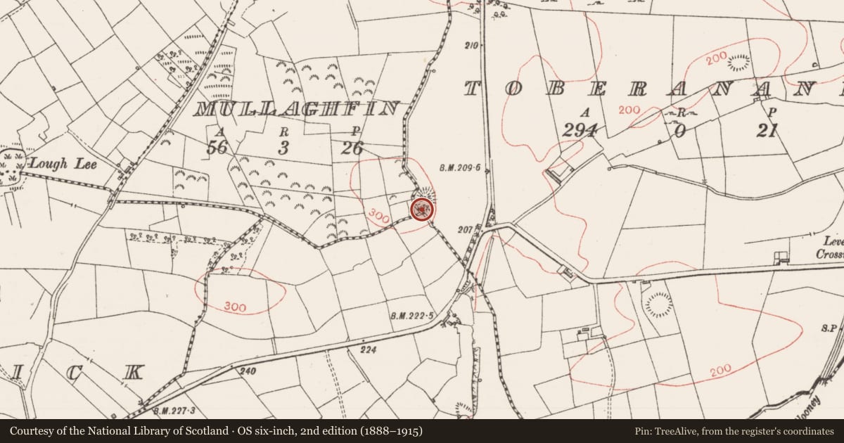 Ordnance Survey six-inch map, 2nd edition (1888–1915) covering the location of Ringfort - rath, Toberanania, County Sligo, with a pin at the register's coordinates