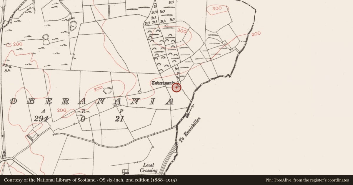 Ordnance Survey six-inch map, 2nd edition (1888–1915) covering the location of Ritual site - holy well, Toberanania, County Sligo, with a pin at the register's coordinates