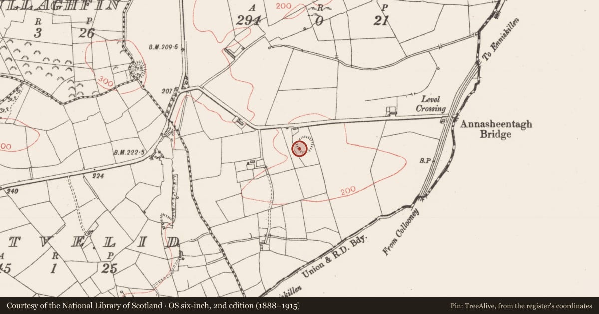 Ordnance Survey six-inch map, 2nd edition (1888–1915) covering the location of Ringfort - rath, Toberanania, County Sligo, with a pin at the register's coordinates