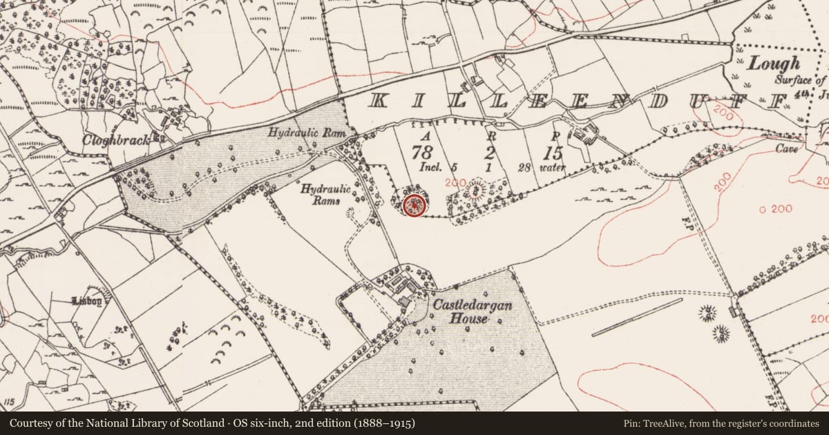 Ordnance Survey six-inch map, 2nd edition (1888–1915) covering the location of Ringfort - rath, Killeenduff, County Sligo, with a pin at the register's coordinates