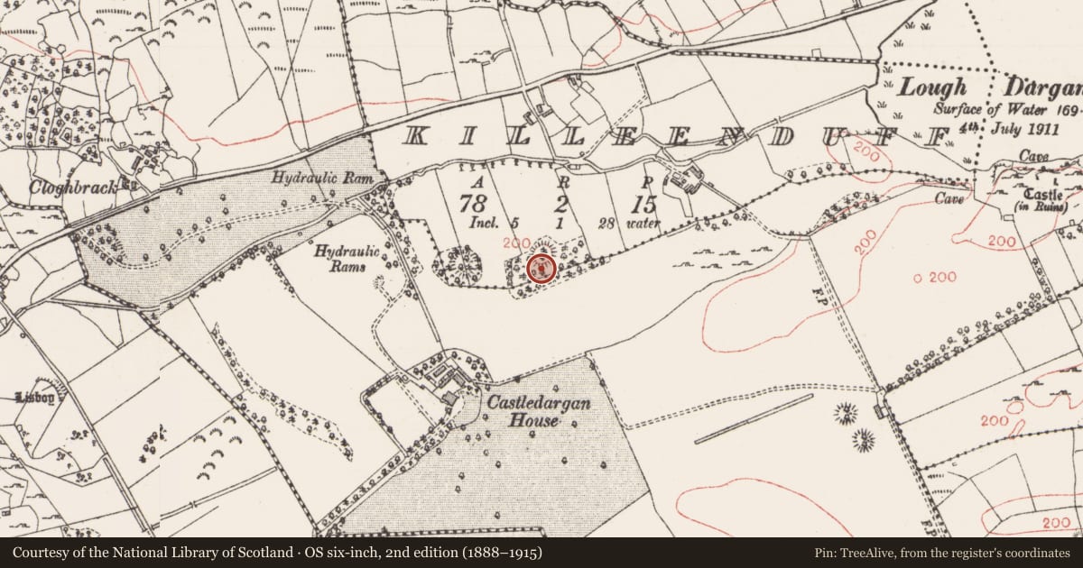 Ordnance Survey six-inch map, 2nd edition (1888–1915) covering the location of Ringfort - rath, Killeenduff, County Sligo, with a pin at the register's coordinates