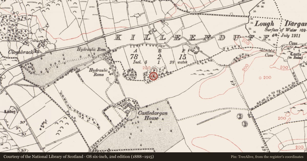 Ordnance Survey six-inch map, 2nd edition (1888–1915) covering the location of Souterrain, Killeenduff, County Sligo, with a pin at the register's coordinates
