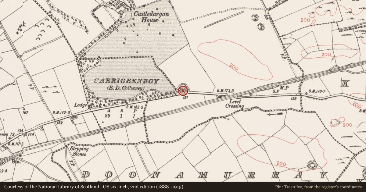 Ordnance Survey six-inch map, 2nd edition (1888–1915) covering the location of Enclosure, Castledargan, County Sligo, with a pin at the register's coordinates