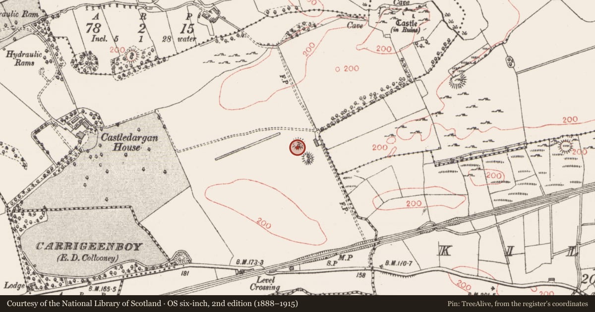 Ordnance Survey six-inch map, 2nd edition (1888–1915) covering the location of Ringfort - rath, Castledargan, County Sligo, with a pin at the register's coordinates