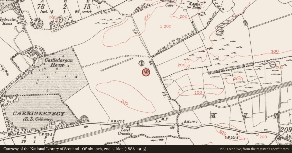 Ordnance Survey six-inch map, 2nd edition (1888–1915) covering the location of Ringfort - rath, Castledargan, County Sligo, with a pin at the register's coordinates