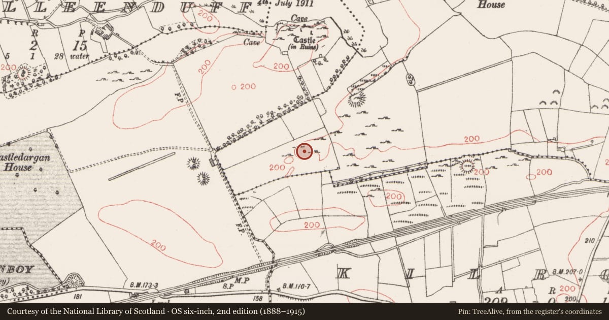 Ordnance Survey six-inch map, 2nd edition (1888–1915) covering the location of Ringfort - cashel, Arnasbrack, County Sligo, with a pin at the register's coordinates