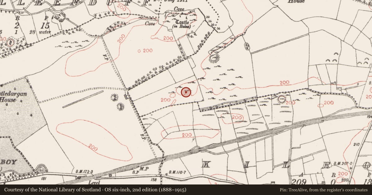Ordnance Survey six-inch map, 2nd edition (1888–1915) covering the location of Field system, Arnasbrack, County Sligo, with a pin at the register's coordinates