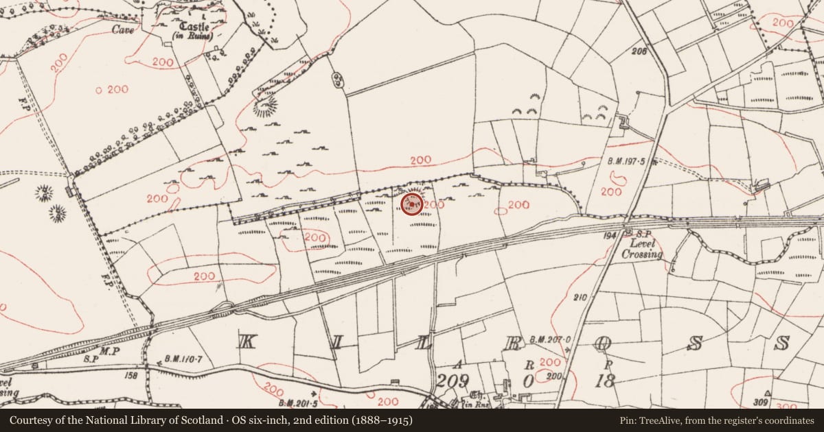 Ordnance Survey six-inch map, 2nd edition (1888–1915) covering the location of Ringfort - cashel, Kilross, County Sligo, with a pin at the register's coordinates