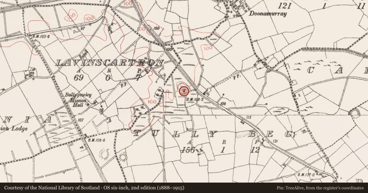 Ordnance Survey six-inch map, 2nd edition (1888–1915) covering the location of Ringfort - rath, Tully Beg, County Sligo, with a pin at the register's coordinates