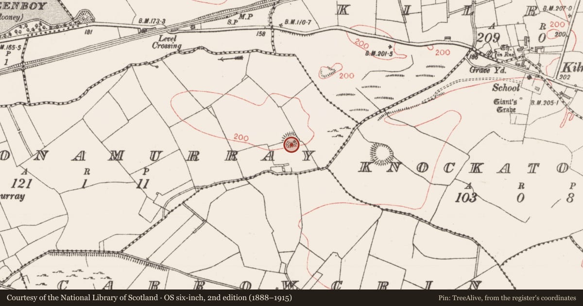Ordnance Survey six-inch map, 2nd edition (1888–1915) covering the location of Castle - motte, Doonamurray, County Sligo, with a pin at the register's coordinates