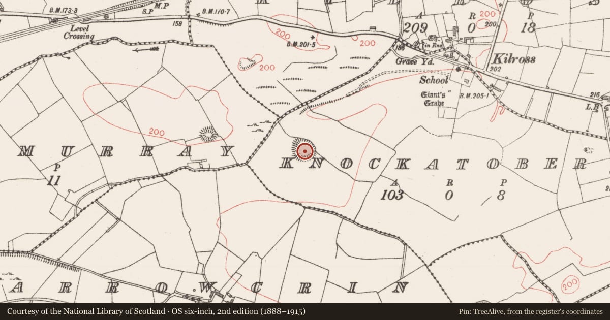 Ordnance Survey six-inch map, 2nd edition (1888–1915) covering the location of Embanked enclosure, Knockatober, County Sligo, with a pin at the register's coordinates