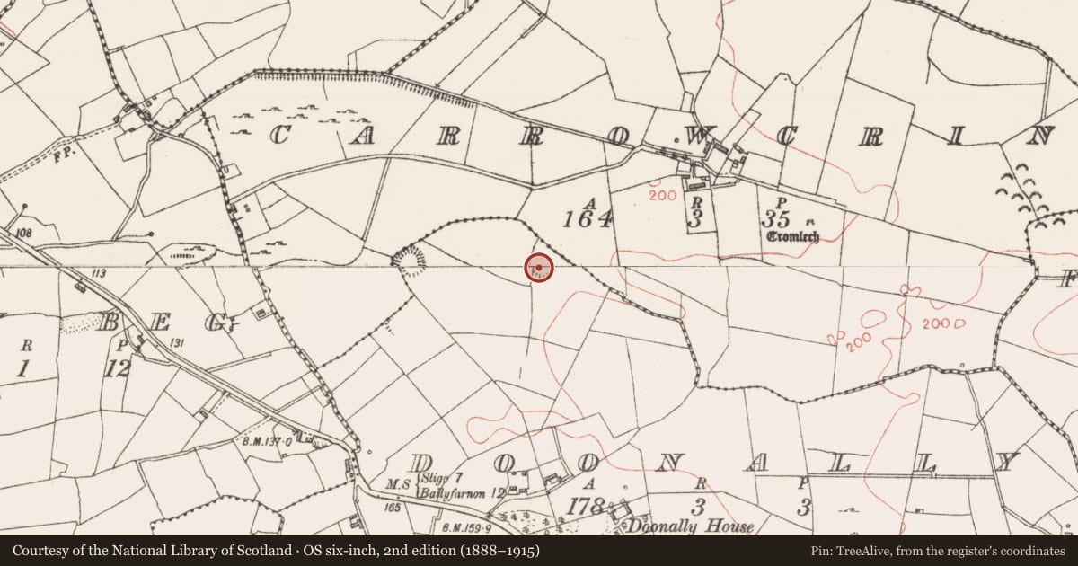 Ordnance Survey six-inch map, 2nd edition (1888–1915) covering the location of Ringfort - rath, Doonally, County Sligo, with a pin at the register's coordinates