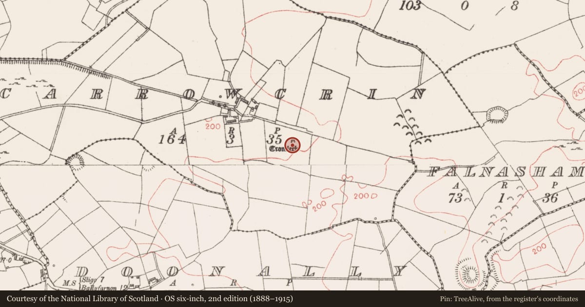 Ordnance Survey six-inch map, 2nd edition (1888–1915) covering the location of Megalithic tomb - wedge tomb, Carrowcrin, County Sligo, with a pin at the register's coordinates