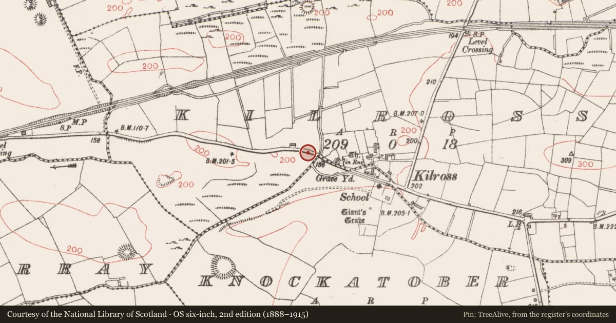 Ordnance Survey six-inch map, 2nd edition (1888–1915) covering the location of Bullaun stone, Kilross, County Sligo, with a pin at the register's coordinates