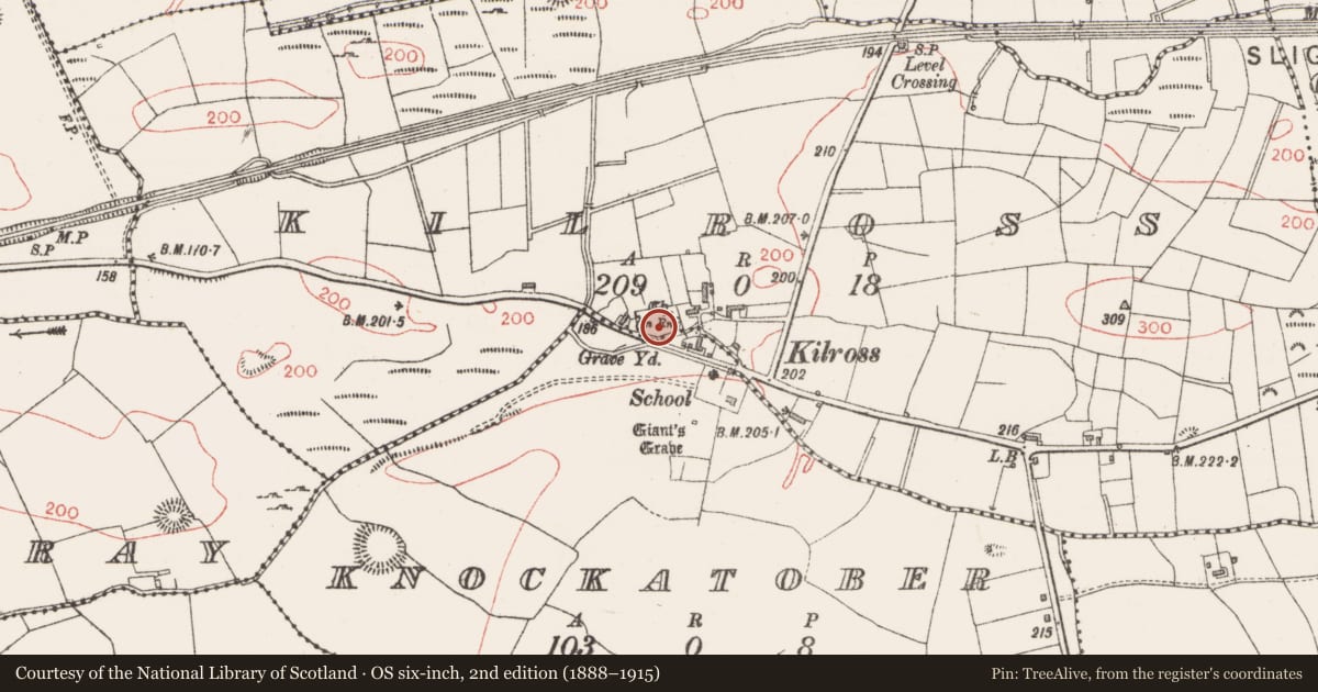 Ordnance Survey six-inch map, 2nd edition (1888–1915) covering the location of Graveyard, Kilross, County Sligo, with a pin at the register's coordinates