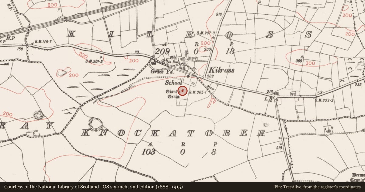 Ordnance Survey six-inch map, 2nd edition (1888–1915) covering the location of Megalithic tomb - portal tomb, Knockatober, County Sligo, with a pin at the register's coordinates