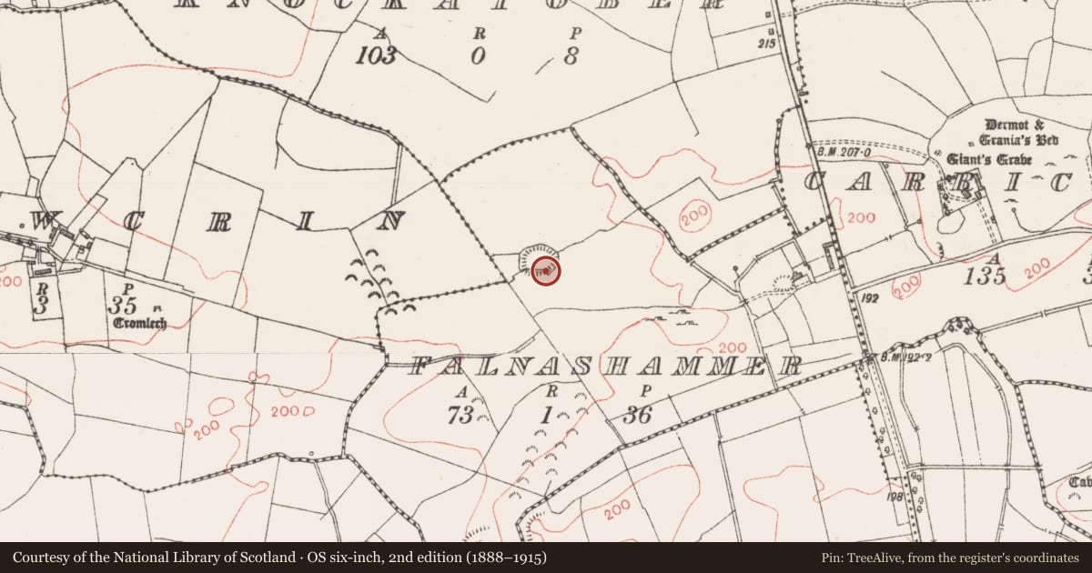 Ordnance Survey six-inch map, 2nd edition (1888–1915) covering the location of Souterrain, Falnashammer, County Sligo, with a pin at the register's coordinates