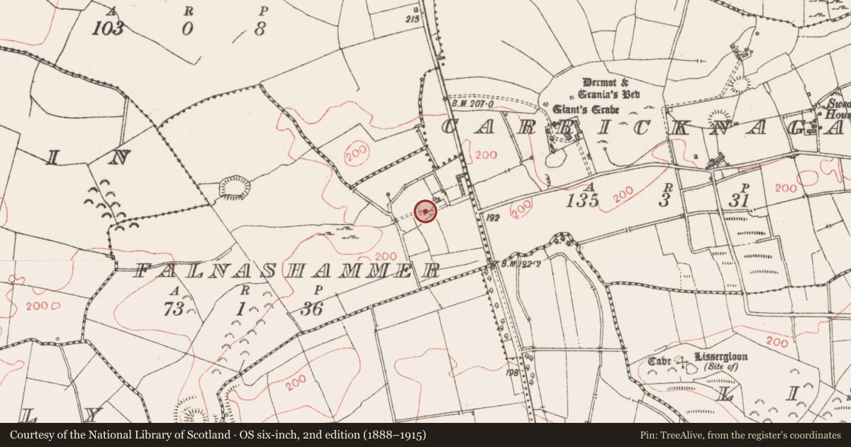 Ordnance Survey six-inch map, 2nd edition (1888–1915) covering the location of Ringfort - rath, Falnashammer, County Sligo, with a pin at the register's coordinates