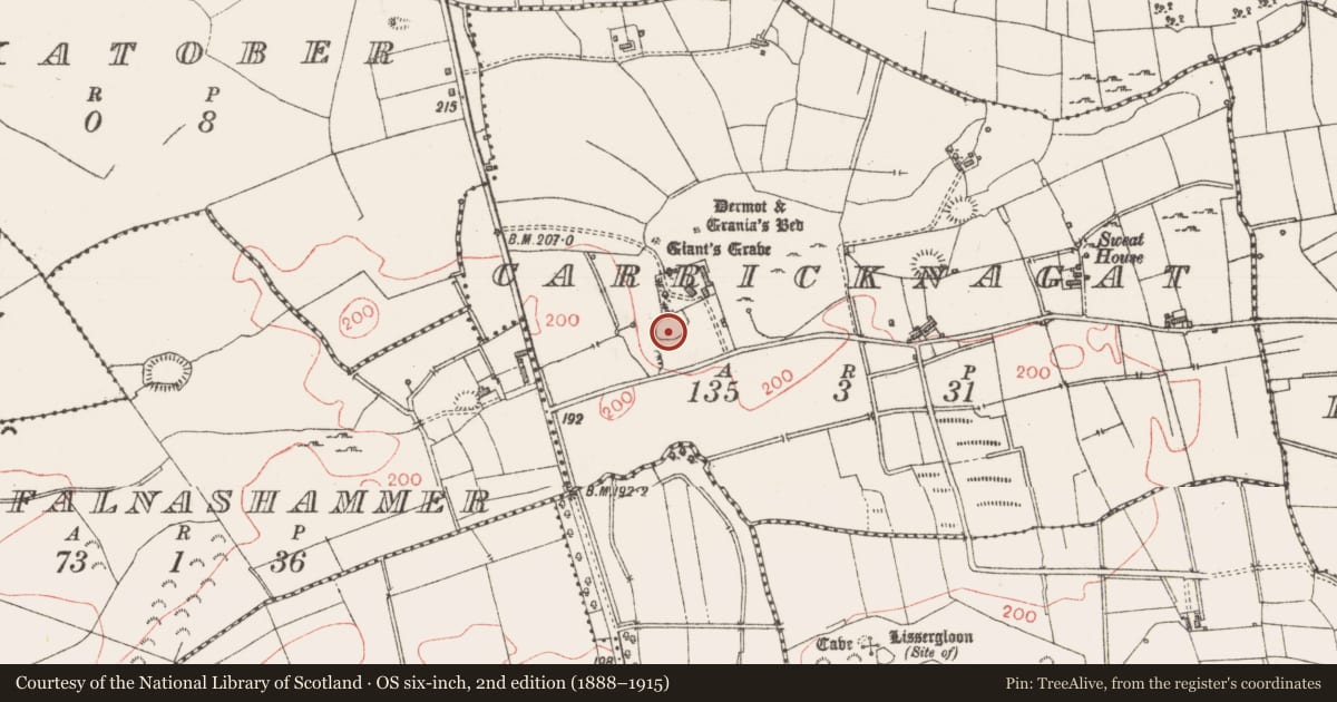 Ordnance Survey six-inch map, 2nd edition (1888–1915) covering the location of Ringfort - rath, Carricknagat, County Sligo, with a pin at the register's coordinates