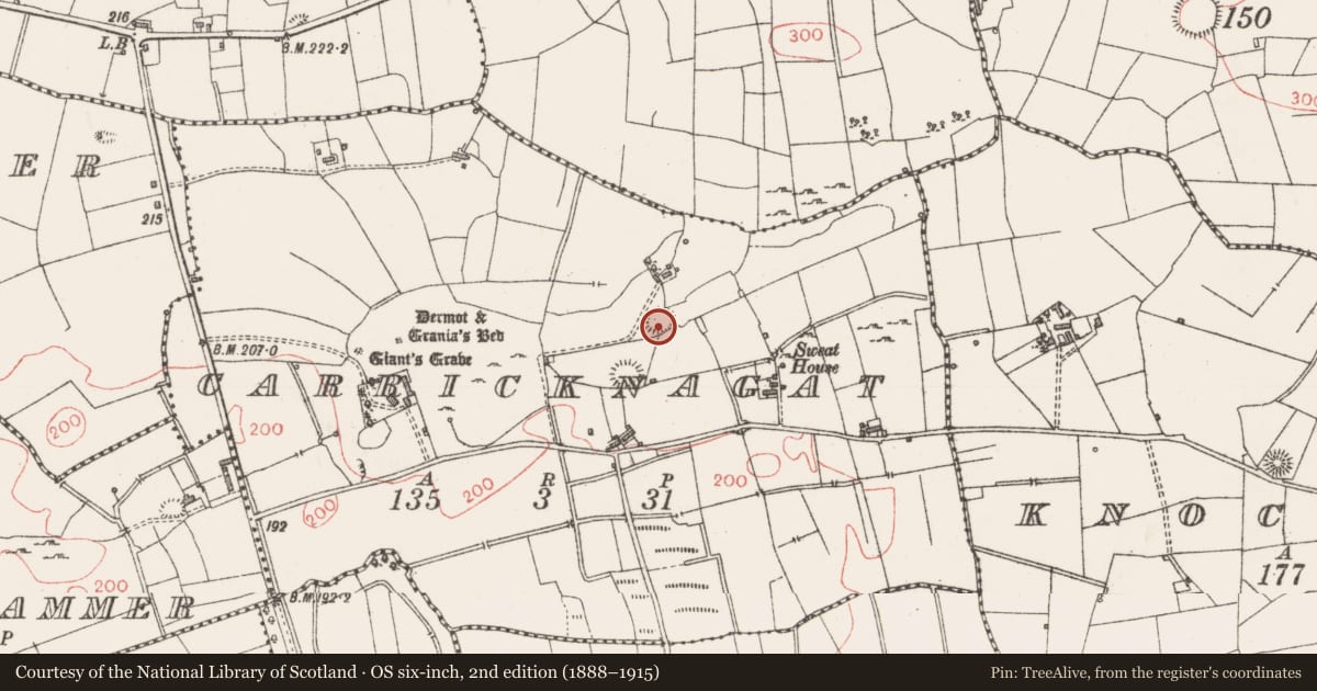 Ordnance Survey six-inch map, 2nd edition (1888–1915) covering the location of Ringfort - cashel, Carricknagat, County Sligo, with a pin at the register's coordinates