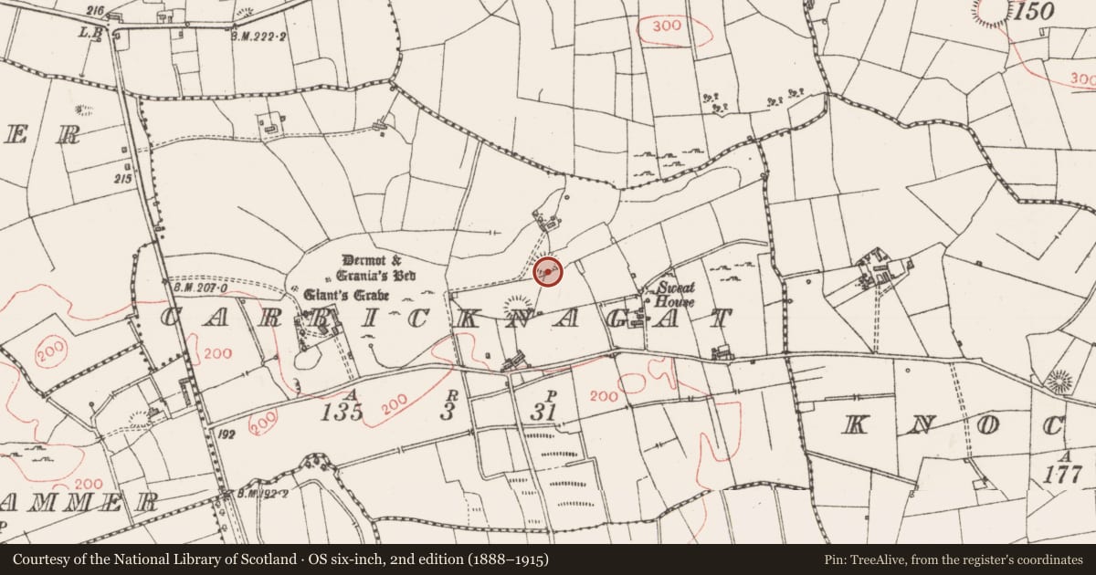 Ordnance Survey six-inch map, 2nd edition (1888–1915) covering the location of Souterrain, Carricknagat, County Sligo, with a pin at the register's coordinates