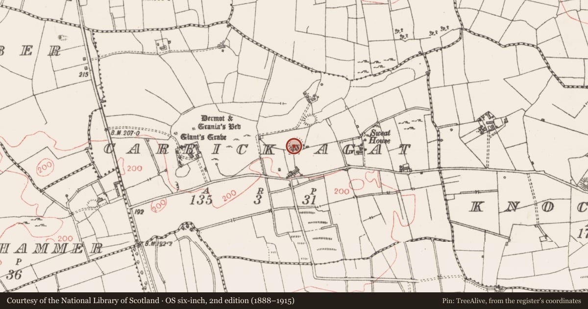 Ordnance Survey six-inch map, 2nd edition (1888–1915) covering the location of Enclosure, Carricknagat, County Sligo, with a pin at the register's coordinates