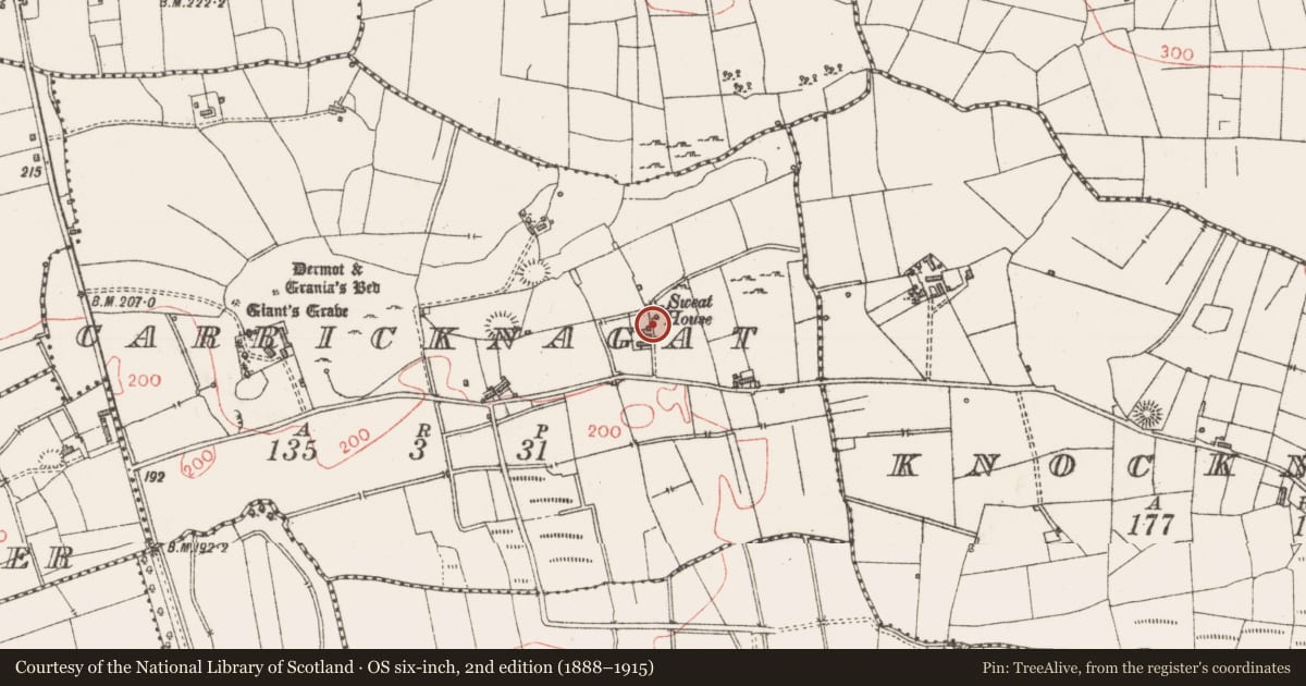 Ordnance Survey six-inch map, 2nd edition (1888–1915) covering the location of Anomalous stone group, Carricknagat, County Sligo, with a pin at the register's coordinates