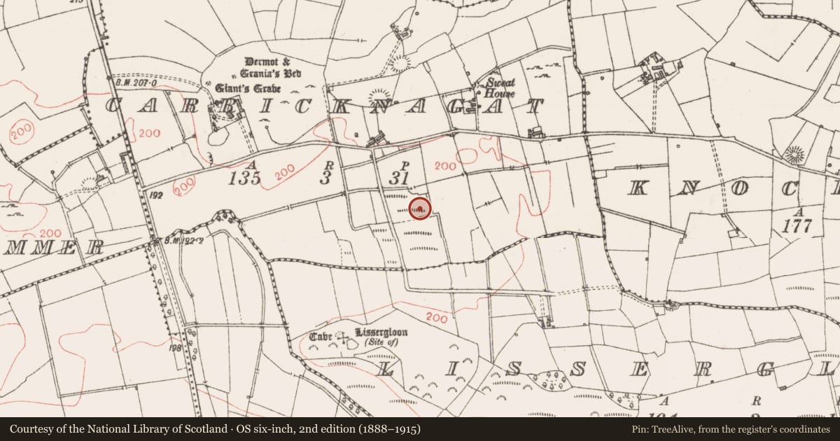 Ordnance Survey six-inch map, 2nd edition (1888–1915) covering the location of Enclosure, Carricknagat, County Sligo, with a pin at the register's coordinates