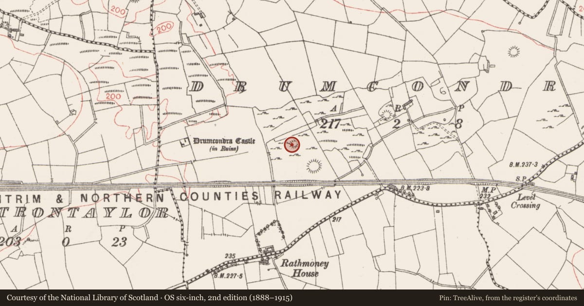 Ordnance Survey six-inch map, 2nd edition (1888–1915) covering the location of Ringfort - cashel, Drumcondra, County Sligo, with a pin at the register's coordinates
