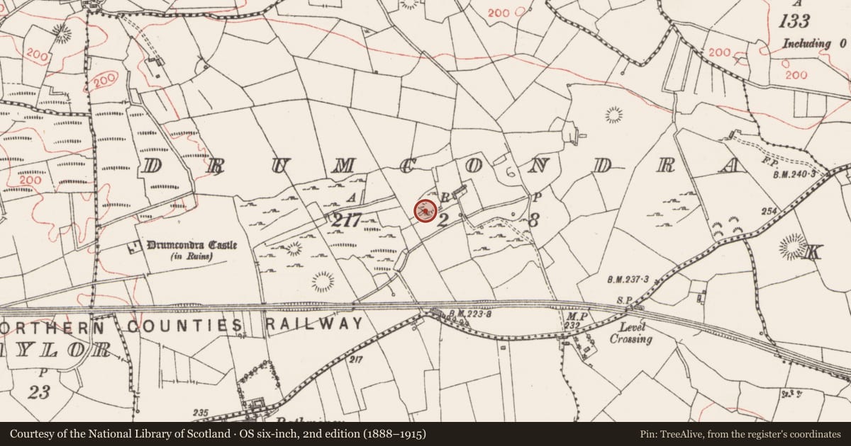 Ordnance Survey six-inch map, 2nd edition (1888–1915) covering the location of Ringfort - rath, Drumcondra, County Sligo, with a pin at the register's coordinates