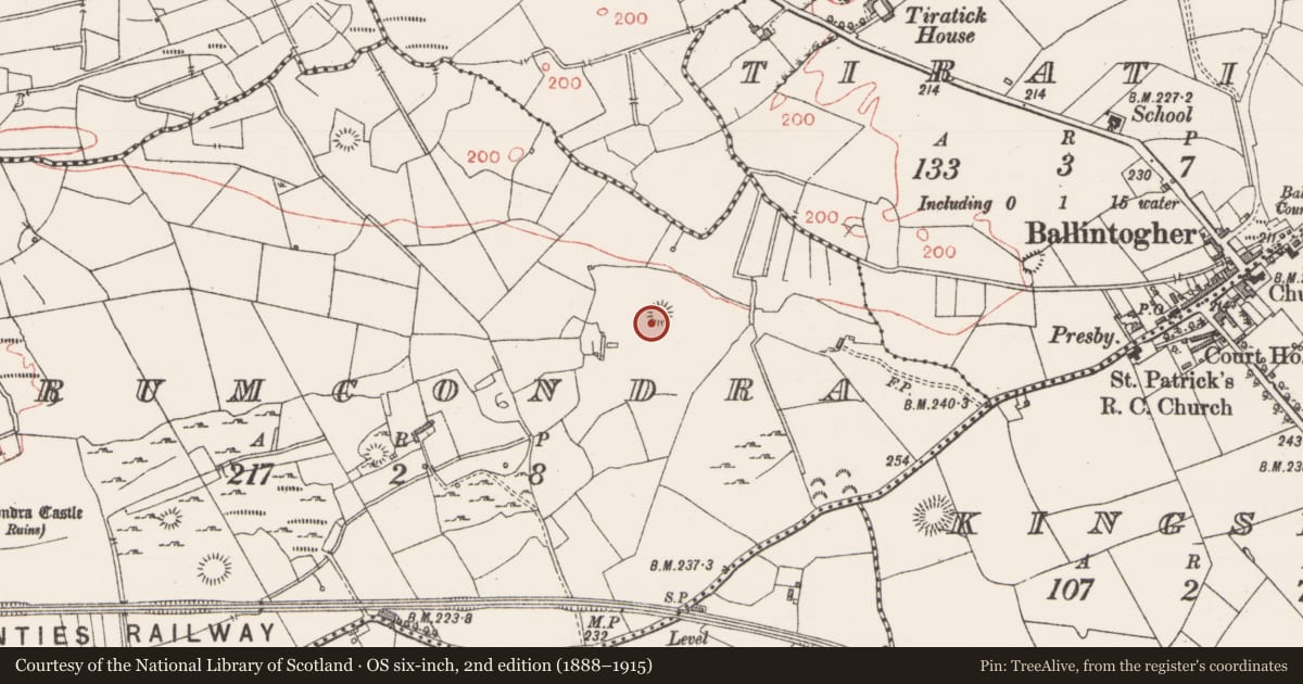 Ordnance Survey six-inch map, 2nd edition (1888–1915) covering the location of Ringfort - cashel, Drumcondra, County Sligo, with a pin at the register's coordinates