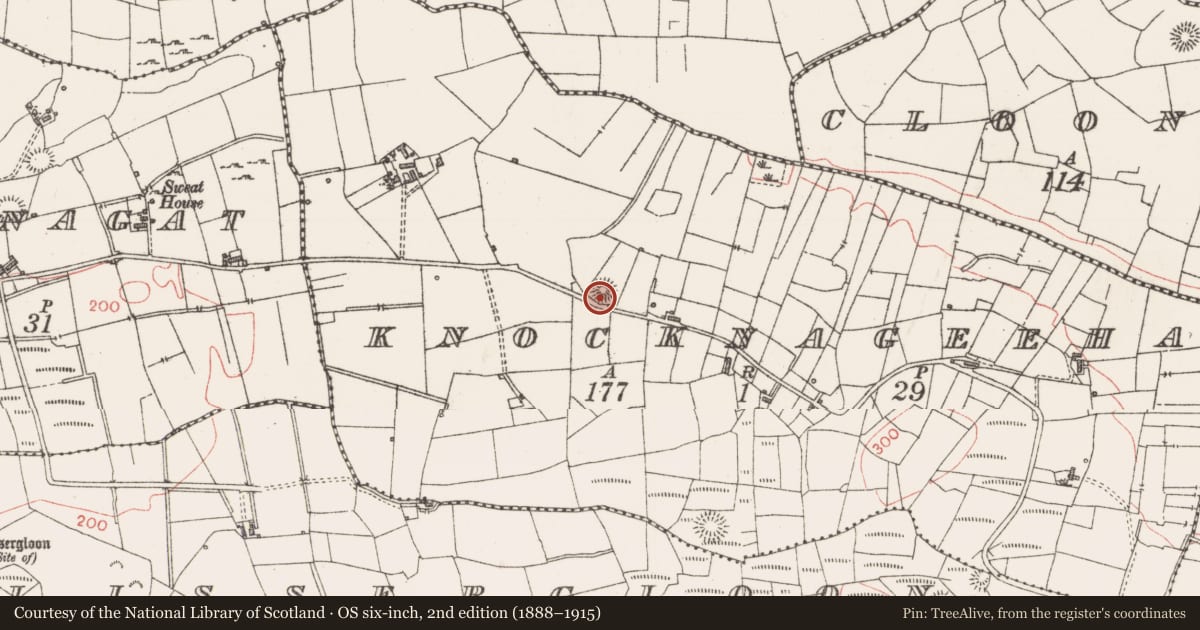 Ordnance Survey six-inch map, 2nd edition (1888–1915) covering the location of Ringfort - rath, Knocknageeha, County Sligo, with a pin at the register's coordinates